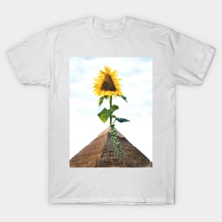 Closer to the Sun T-Shirt